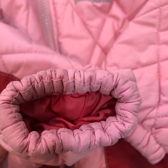 Patagonia pink jacket